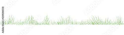 Grass border. Vector seamless patern Pencil sketch