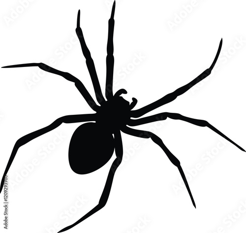 Spider silhouette vector, Spider icon sign vector illustration design