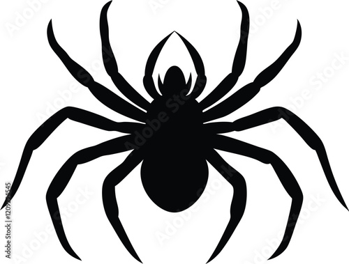 Spider silhouette vector, Spider icon sign vector illustration design