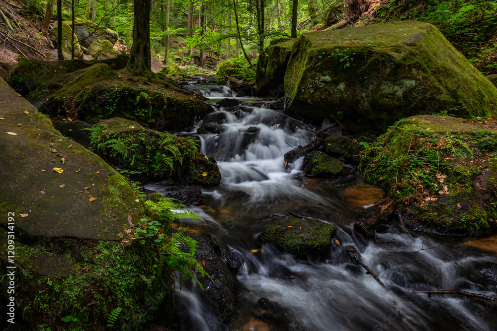 Creek of Moosalbe in Karlstalschlucht with small Waterfalls, Rhineland-Palatinate, Germany, Europe Creek of Moosalbe in Karlstalschlucht with small Waterfalls, Rhineland-Palatinate, Germany, Europe