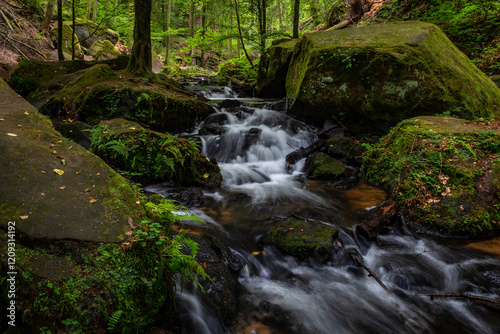 Creek of Moosalbe in Karlstalschlucht with small Waterfalls, Rhineland-Palatinate, Germany, Europe