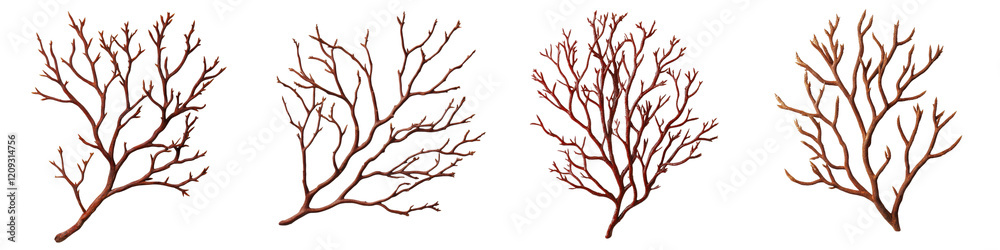 Obraz premium Bare and twisted tree branches forming abstract natural patterns in a minimalist monochrome style The skeletal gnarled silhouettes create an elegant organic