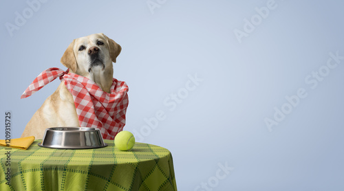 Happy polite dog having a meal