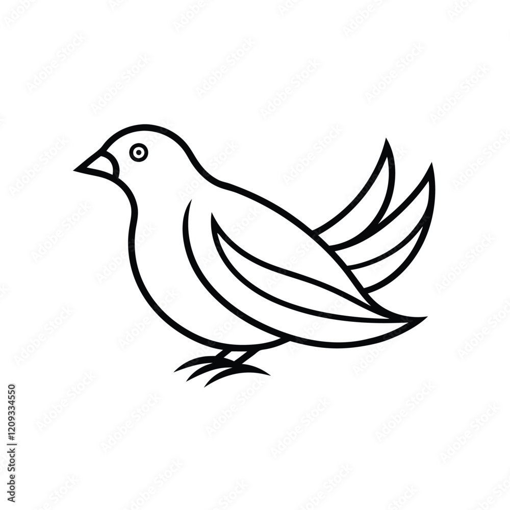 Fototapeta premium white dove isolated on white