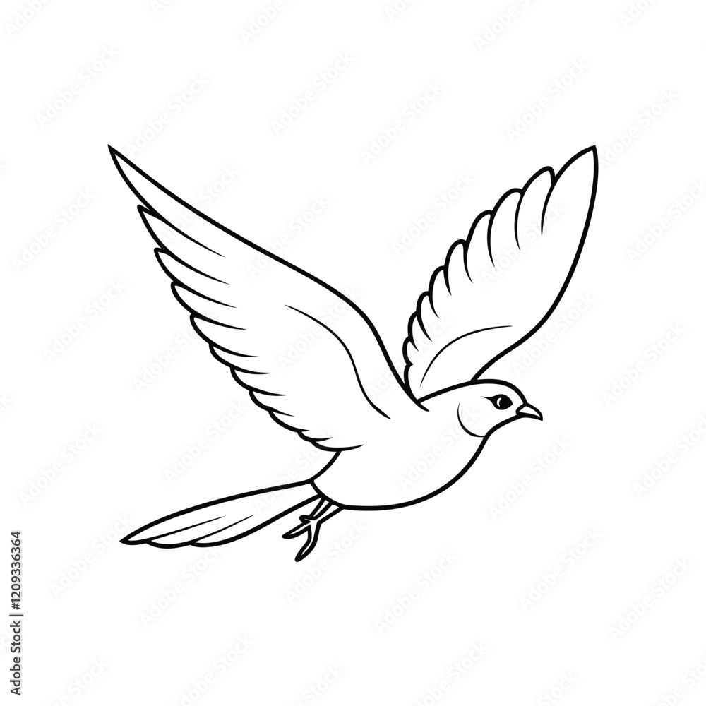 Fototapeta premium white dove isolated on white