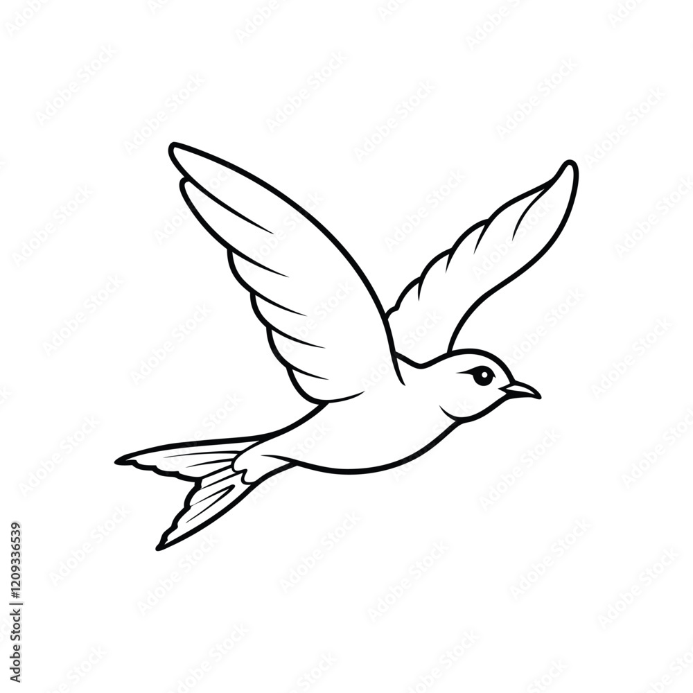 white dove flying white dove flying