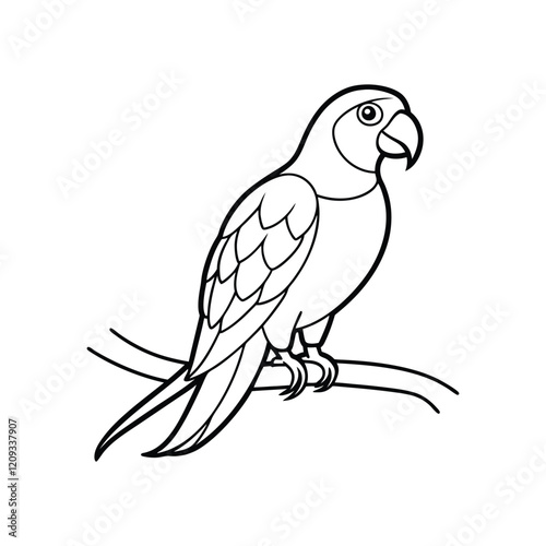 parrot on white background