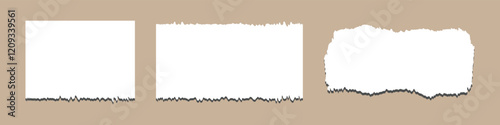 white torn paper piece collection. ripped sheets of paper with empty space for text. vector illustration.