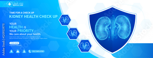 Kidney human in shield frame. Medical health care check up. Magnifying glass and stethoscope examining organ icon. Template design background banner for medical ads social media editable. Vector.