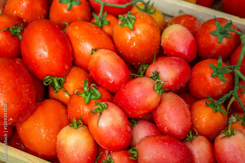 Tomatoes with water droplets clinging to them are displayed in a wooden basket. Tomatoes with water droplets clinging to them are displayed in a wooden basket.