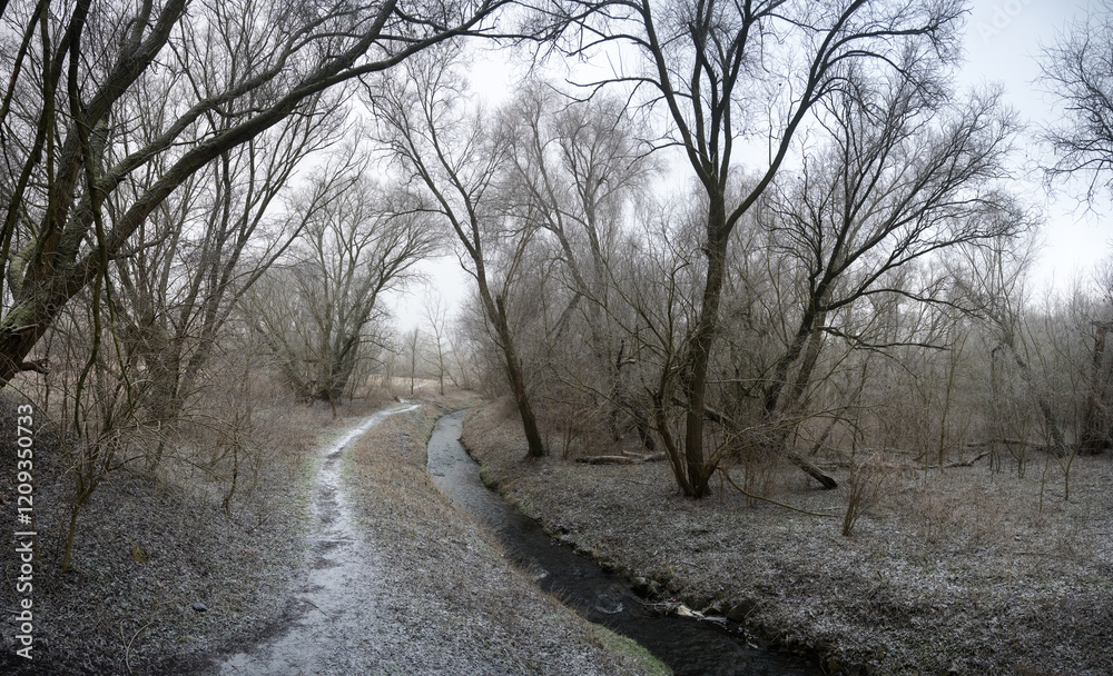 Winter landscape, effect of falling rime.
Winter landscape, effect of falling rime.