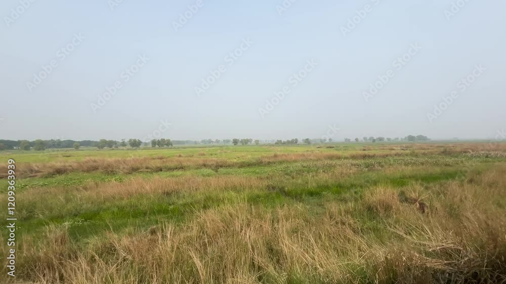 View from inside an Indian Railways train. View from inside an Indian Railways train.