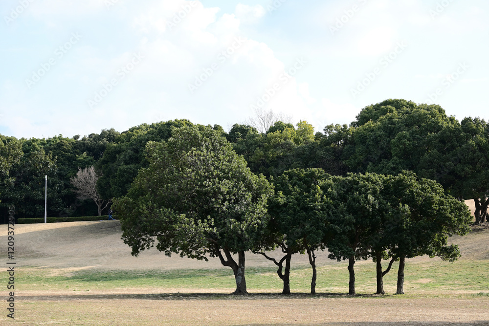 Fototapeta premium 冬晴れの千葉ポートパーク