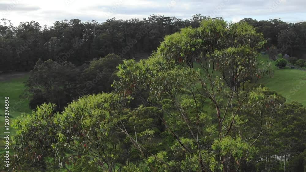 Countryside around Coramba small village, New South Wales, Australia. Aerial drone orbiting Countryside around Coramba small village, New South Wales, Australia. Aerial drone orbiting