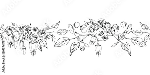 Blackberry blueberry with white bell flowers, plant leaves, hand drawn in ink vector, forest berry on branches. Seamless banner garland illustration for restaurant, cafe menu, wedding, farmers market