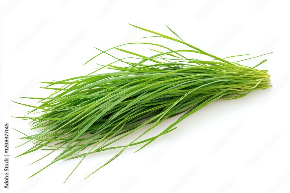 Fresh chives bunch, studio shot, white background, healthy food Fresh chives bunch, studio shot, white background, healthy food