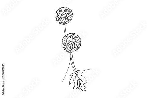 Continuous one line drawing beauty fresh allium giganteum for home decor wall art poster print. Decorative globemaster flower for floral card frame. Single line draw design vector graphic illustration