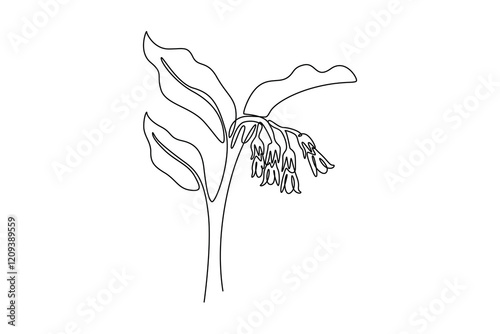 Single one line drawing of beauty fresh symphytum for garden logo. Decorative comfrey flower concept for home decoration wallpaper poster print. Continuous line draw design graphic vector illustration