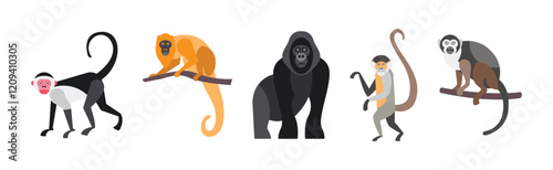 Different Monkey Animal with Long Tail Vector Set