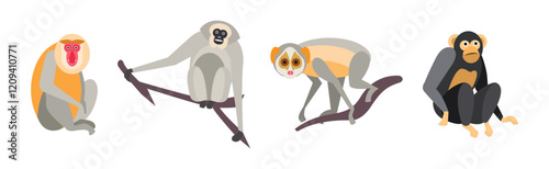Different Monkey Animal with Long Tail Vector Set