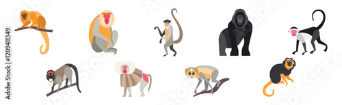 Different Monkey Animal with Long Tail Vector Set