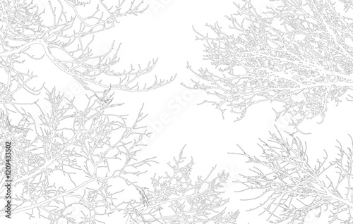 Frame of contours bare branches of trees, with copy space. Vector illustration