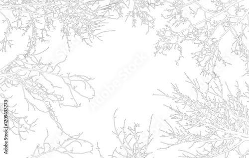 Frame of contours bare branches of trees, with copy space. Vector illustration