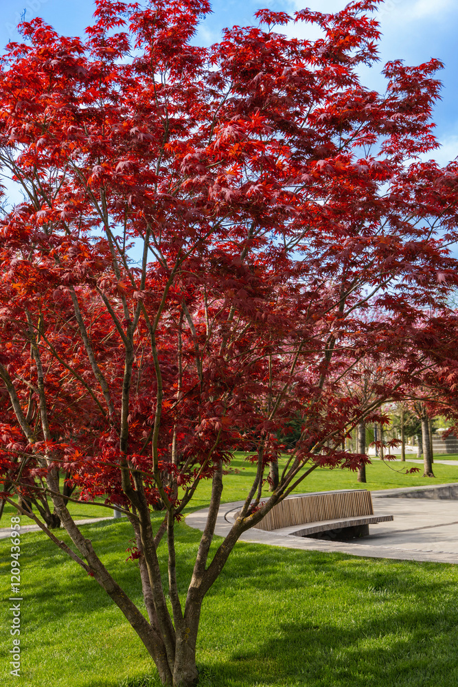 Naklejka premium Stylized Japanese courtyard in city park 