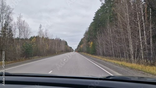 The car is walking along a scenic road. Dense forest near the highway.