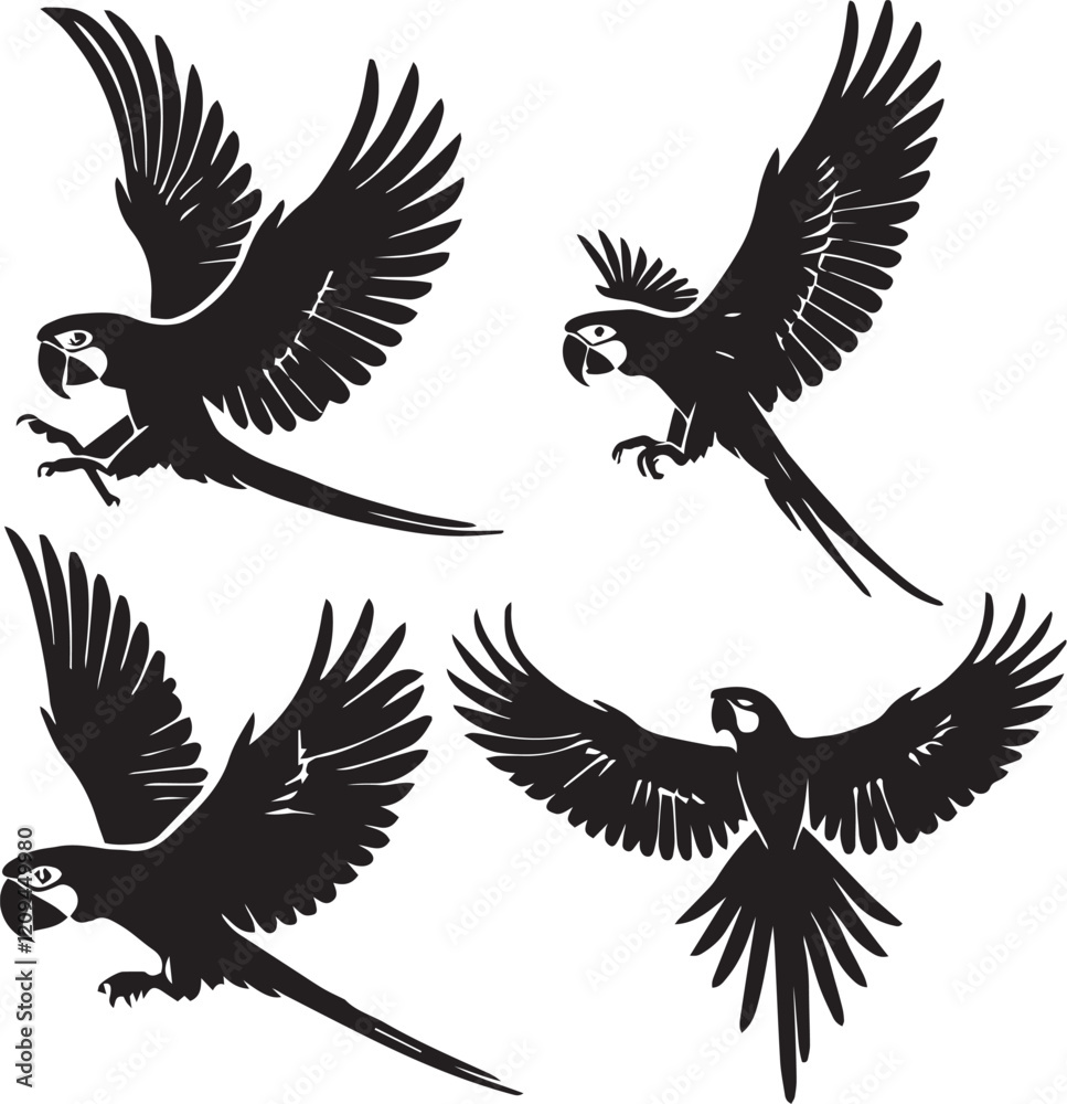 Fototapeta premium scarlet macaw, flying scarlet macaw, macaw silhouette, scarlet macaw vector, flying bird poses, bird flight illustration,