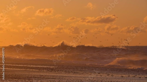 Stunning sunset over stormy sea with flock of seagulls slow motion shot