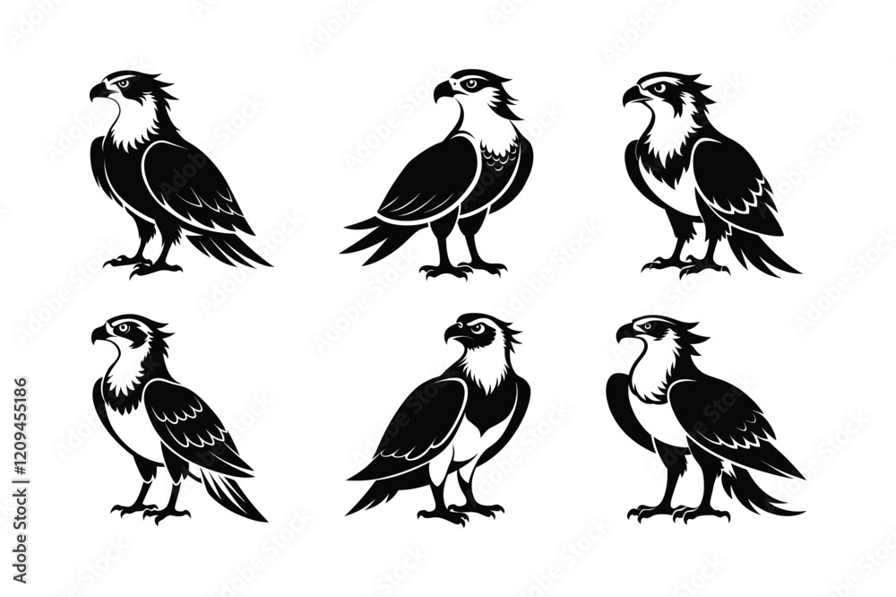 Fototapeta premium Osprey (Pandion haliaetus) mammal animal, labeled silhouette vector art illustration.