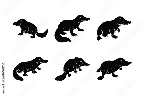 Platypus (Ornithorhynchus anatinus) mammal animal, labeled silhouette vector art illustration. photo