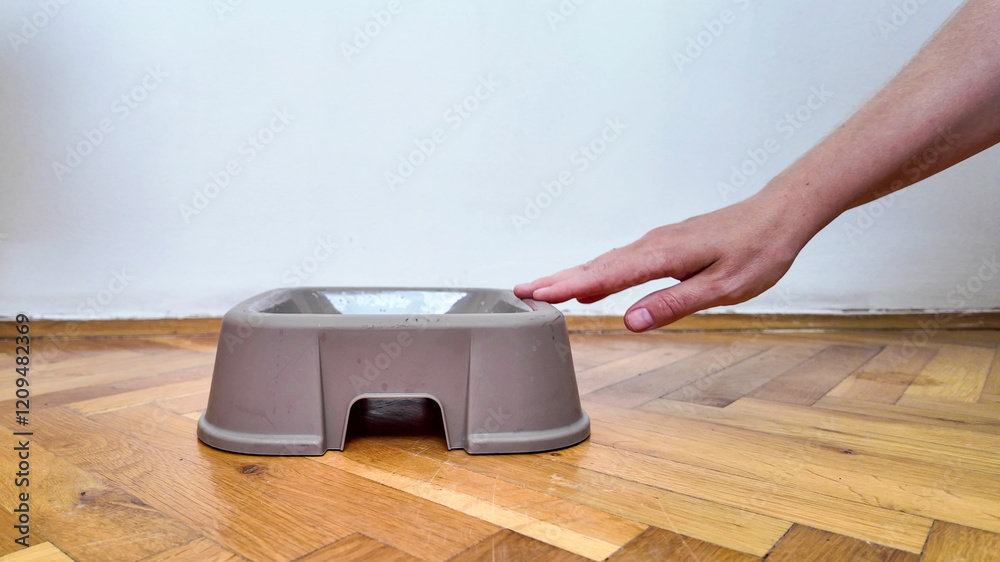 Fototapeta premium A person's hand gestures near an empty pet bowl on a wooden floor, illustrating pet care and feeding routines