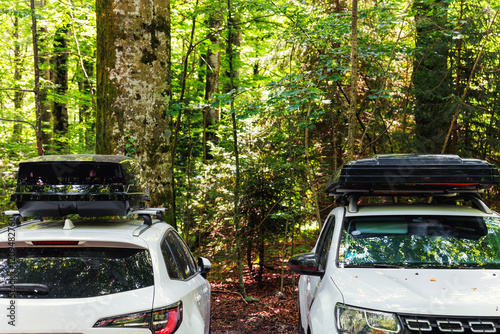 Scenic view national park forest resort parking with cars roof box rack against sunny nature woods landscape. Family holidays journey travel auto trip