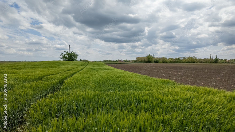 Fototapeta premium Lush green and barren fields illustrate the contrast between growth and emptiness, ideal for discussing agriculture or Earth Day
