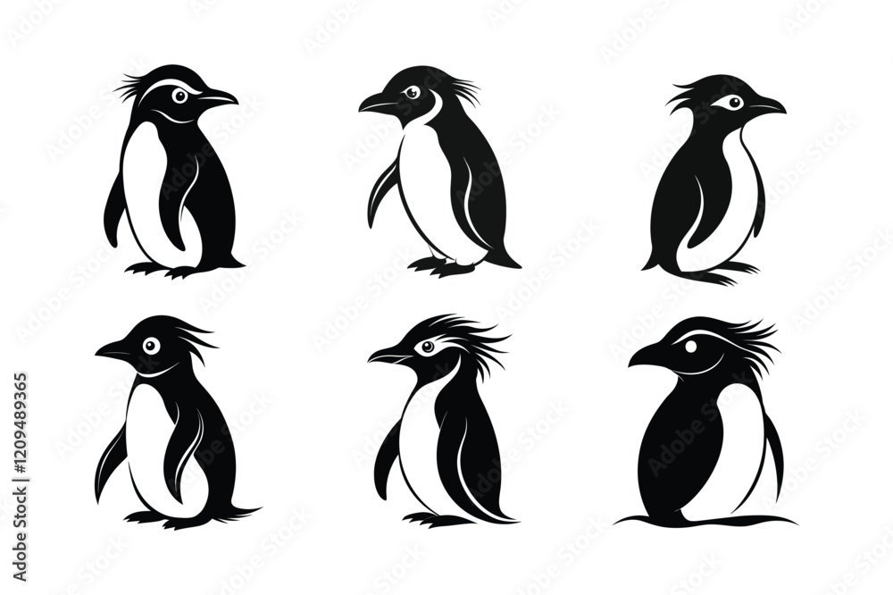Naklejka premium Rockhopper Penguin (Eudyptes chrysocome) mammal animal, labeled silhouette vector art illustration.