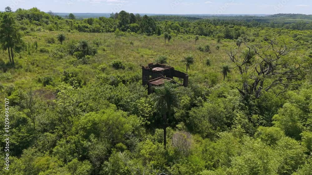 Aerial zooms into old abandoned house in a sunny forested rural wild landscape Aerial zooms into old abandoned house in a sunny forested rural wild landscape