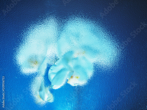 Amazing white orchid behind frosted glass on blue background. Beauty in nature. Flower bouquet. Light and airy look.