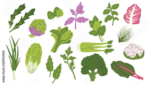 Set of green vegetables, salad leaves and herbs isolated on white. Parsley, Green lettuce, Cilantro, Celer, Lemongrass, Basil, Dill, Kale, Spinach, Radicchio and artichoke