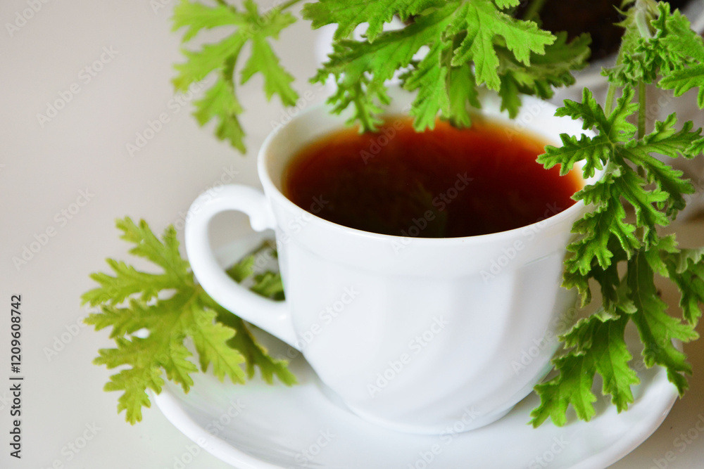 herbatka z geranium w białej filiżance, ziołowa herbata z geranium, Pelargonium Graveolens, geranium tea in a white cup, tea and geranium leaf, herbal tea with geranium, black tea with geranium leaf