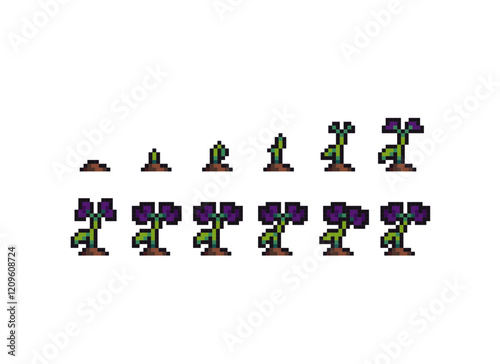 pixel art violet flower pansy. Pixel art growth stages sequence sprouting. 8 bit retro video game sprite