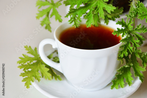 herbatka z geranium w białej filiżance, ziołowa herbata z geranium, Pelargonium Graveolens, geranium tea in a white cup,  tea and geranium leaf, herbal tea with geranium, black tea with geranium leaf photo