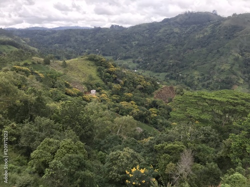 Embracing Nature - The Allure of a Green Village photo