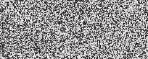 The Organic and Geometric Fusion of Lines Creating a Visually Captivating Abstract Texture
