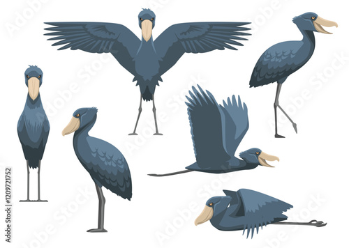 Shoebill Stork Bird Various Poses Cartoon Vector Illustration Isolated Character