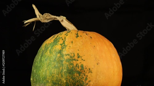 Unique pumpkin with vibrant colors and texture