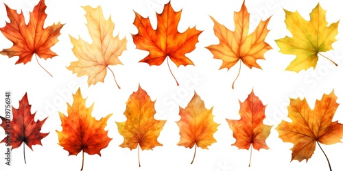  Watercolor Set of Maple Autumn Leaves Isolated on White Background