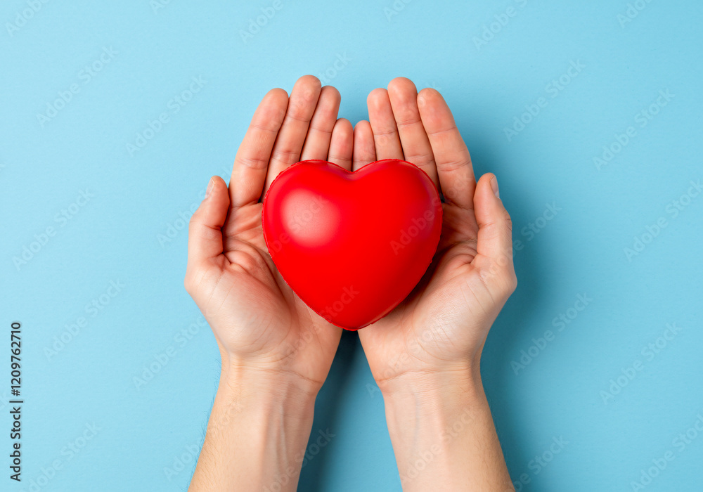 Fototapeta premium Heart between hands. Hands hold a heart