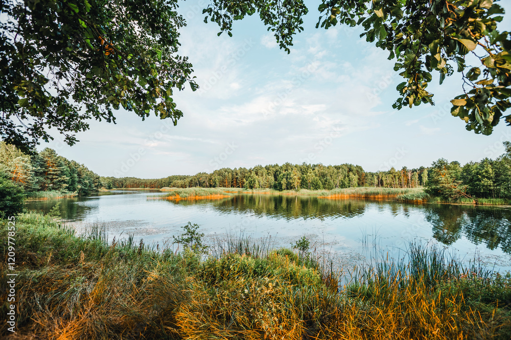 Fototapeta premium A fantastic summer day on a calm lake surrounded by a pine forest. Ukraine, Europe.